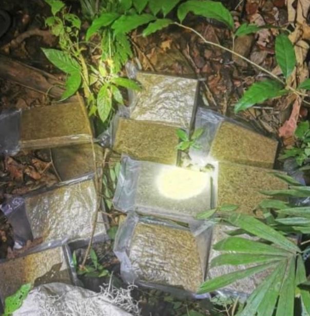 Sementara itu, dalam kes terbaharu, kata beliau, pasukan operasi Cawangan Risik Batalion 1 PGA Ulu Kinta menerusi Op Taring Wawasan Kedah/Perlis merampas 10 ketulan mampat ganja di bahu jalan dekat sini kira-kira pukul 12.45 tengah malam semalam.